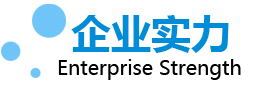 企業(yè)實力